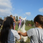Prachtlamas_Ferientag mit Lamas_DSCN9526