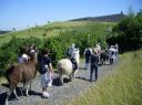 Wanderung mit Lamas im Herzen des Ruhrgebiets mit den Prachtlamas in Gelsenkirchen, NRW