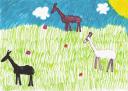 Kinder malen Lamas_Schreib und Malwettbewerb zu “Lamas”