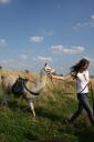 Tiergestütztes Praxistraining Führung und Entspannungsmanagement mit den Pracht Lamas