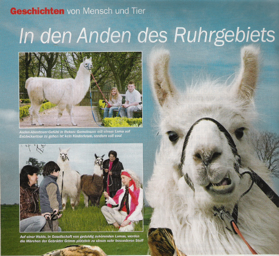 Ein Herz für Tiere berichtete im Mai 2009 über die Prachtlamas und andere Lamas im Ruhrgebiet