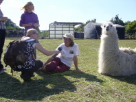 Lama Dancer und Beate Pracht im 1live Interview mit Christa Wolf auf der Weide im Ruhrgebiet, Westfalen, NRW