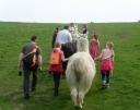 Lama-Trekking-Tour zu Ostern auf die Anden des Ruhrgebiets ein Freizeit-Erlebnis