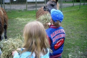 Kinder Lama Erlebnis in Gelsenkirchen beim Prachtlamas e.V.