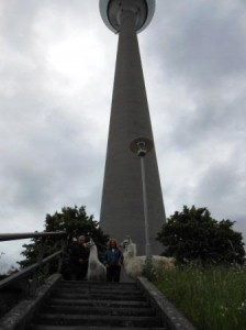 DSCN5581_Beate Pracht und Trainerkollege Tino Ahlers vor dem Fernsehturm und dem WDR in Düsseldorf