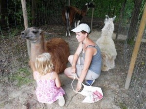 Lama Ferien Erlebnis 2013 an der Kinderburg im Gesundheitspark Nienhausen mit den Prachtlamas