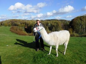 Sonniger Herbstpaziergang mit Lamas auf der Halde Zollverein 4-11 Gelsenkirchen/Essen/Ruhrgebiet