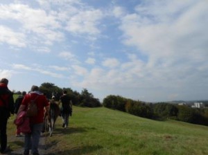 Lama-Wanderungen im Ruhrgebiet, in Essen, Gelsenkirchen, Buer. Foto: Prachtlamas