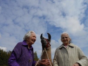 Tiergestützte Intervention mit Lamas im Gesundheitspark Nienhausen, Foto: Prachtlamas