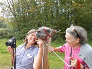Seniorenausflug zu den Lamas von Beate Pracht in Gelsenkirchen, Foto: Prachtlamas