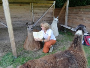Lesung mit Lamas - "Das Herz, unser Glücksmuskel" von Beate Pracht - mit Geschichten aus der Coaching-Praxis - auch mit den Lamas