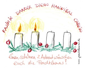 Wir wünschen Ihnen einen schönen 2. Advent, Ihre Prachtlamas