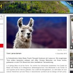 Artikel im saarländer Magazin Forum über die Achtsamkeits-Lama-Wanderungen in Gelsenkirchen (Sreenshot)