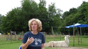 Beate Pracht liest aus Ihrem Buch "Das Herz, unser Glücksmuskel" - direkt bei und neben den fünf Gelsenkirchener Lamas im Gehege