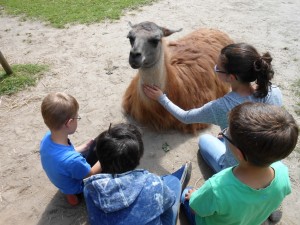 Ferientag mit Lamas für Ruhrgebiets-Kinder in den Herbstferien, Foto: Prachtlamas