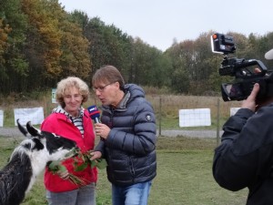 Endlich November! Live-Sendung im WDR-Fernsehen mit Beate Pracht und den Lamas im Ruhrgebiet, Allerheiligen um 15:30 Uhr