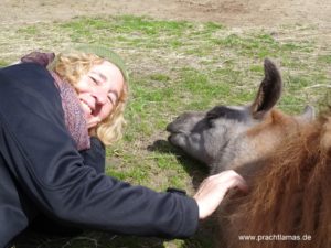 Achtsamkeits-Wanderung mit Lamas zum Thema Glück & Lebensfreude, Titel: "Lamawanderung zum Glück"