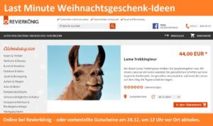 Last Minute: Gutschein online bei Revierkönig Erlebnisgeschenke-NRW bestellen für unsere Lamawanderungen in Gelsenkirchen