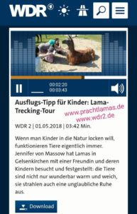 WDR 2 Radio Bericht mit Lama Caruso in Gelsenkirchen bei der Sendung für Familien mit Kindern Endlich Raus