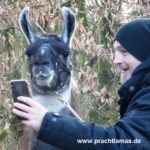 Selfietime - Torsten Sträter unterwegs mit den Prachtlamas für WDR Sträters Männerhaushalt Folge 18 - Ausstrahlung am 30.03.2019 um 21:45 Uhr. Foto: Beate Pracht