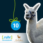 Adventskalender bei dotruhr: Lamawanderung wird verlost