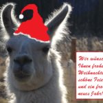 Dancer ist das Weihnachts-Lama 2019 und wünscht euch allen frohe Weihnachten!