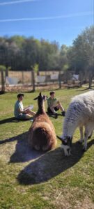 Zeit haben für sich, fürs Wahrnehmen, spüren, beobachten. Wenn du Lust hast, kannst du zeichnen, was du erlebst