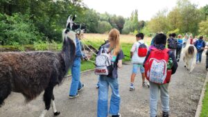 Ferien mit Lamas für Kinder und Erwachsene im Ruhrgebiet