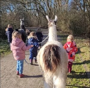 Ein Ferientag mit Lamas - für Kinder ab 7 Jahren im Ruhrgebiet - Entspannung und Abenteuer in einem