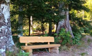 Vogel- und Naturbeobachtungskurse zur Entspannung und mentale Klarheit