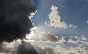 Naturbeobachtungen für mehr Lebensfreude und Entspannung - durch die wilde Natur im Außen zur inneren Natur