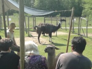 Im Lamafeuer-Gespräch zusammenkommen - mit Impulsvortrag und achtsamer Lamabegegnung