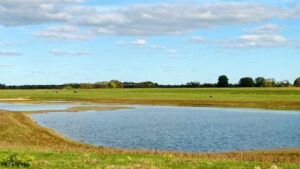 Auenlandschaft Bislicher Insel, Xanten