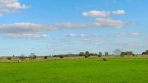 Im Einklang mit der Natur mit Beate Pracht