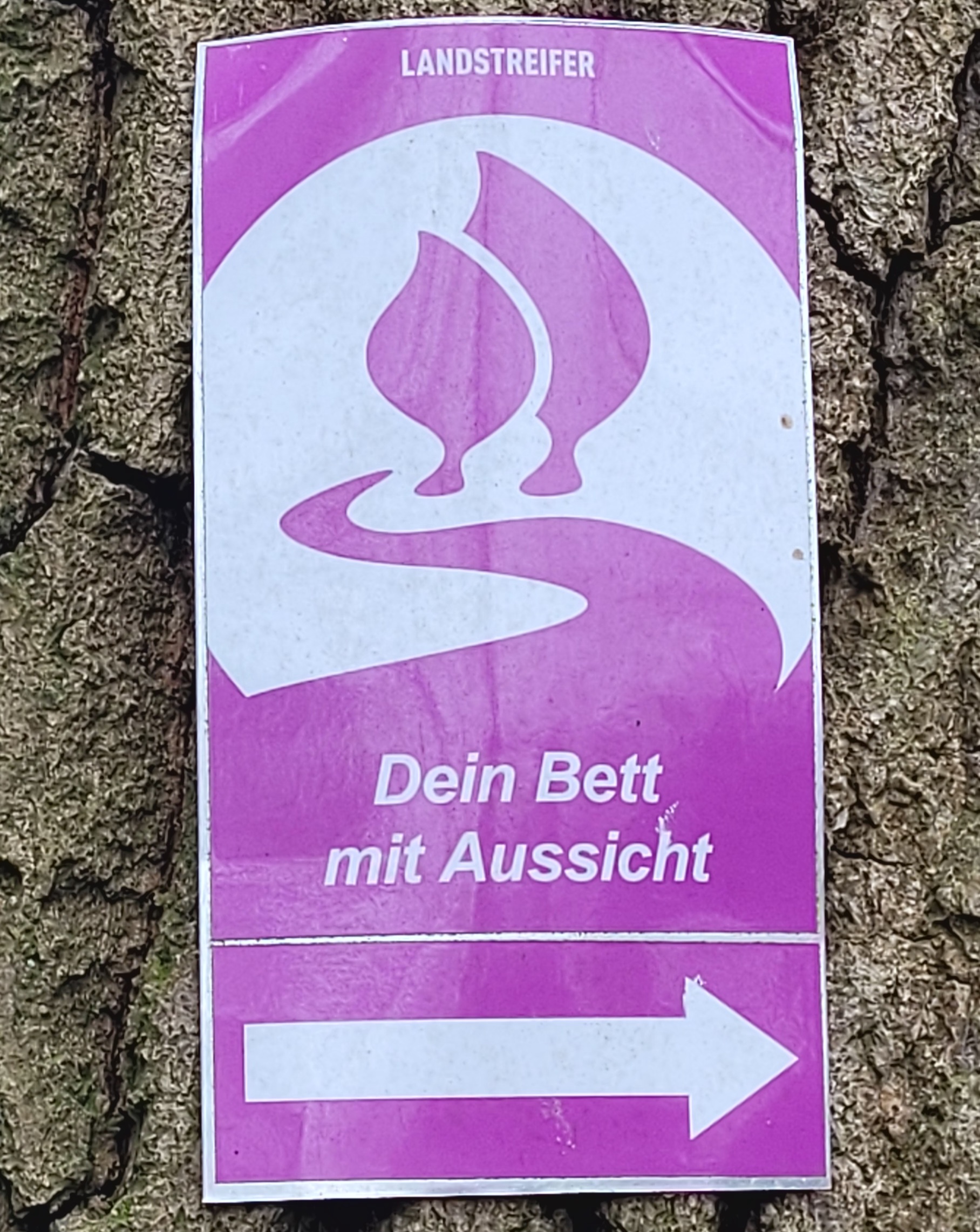 Wohlfühlwanderung Landstreifertour Reken "Ein Bett mit Aussicht " in Kooperation mit dem Naturpark Hohemark