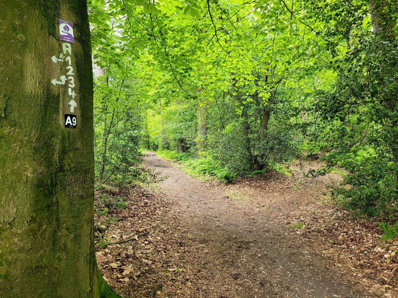 Ein Bett mit Aussicht - Landstreifer Wohlfühlwanderung Reken Naturpark Hohe Mark