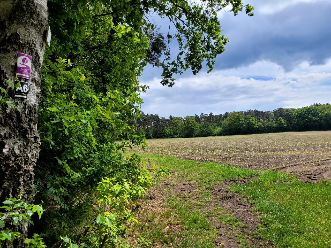 Ein Bett mit Aussicht - Landstreifertour Reken Naturpark Hohe Mark