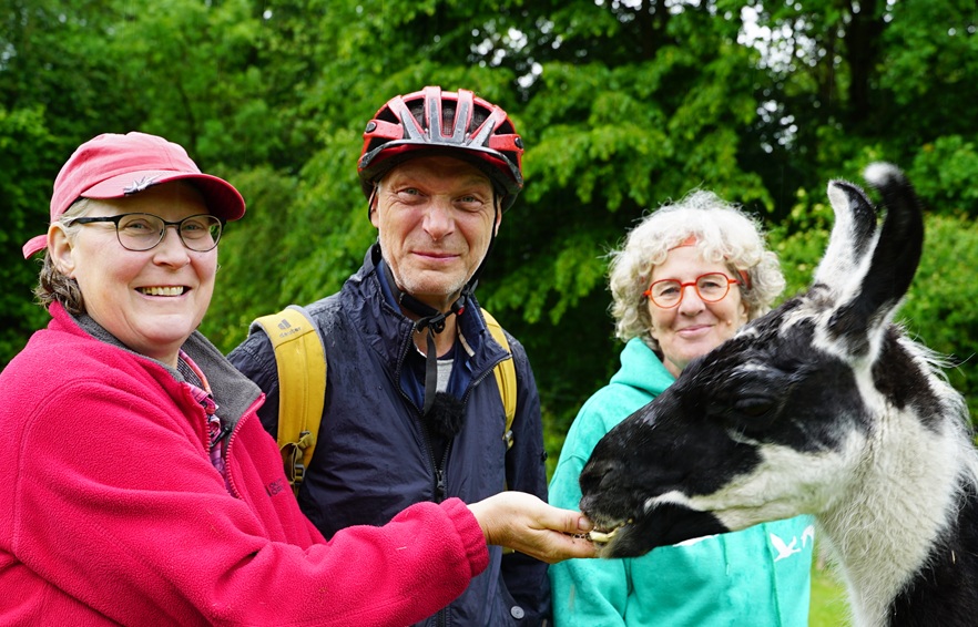 WDR Heimatflimmern 2026: Martin Brambach radelt durchs Revier - und trifft auch auf die Prachtlamas, Lamas in Gelsenkirchen im Revierpark Nienhausen, Nienhausenbusch