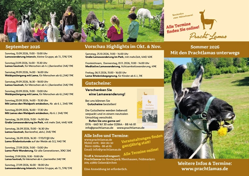 Termine Sommer 2026 - VORDERSEITE vom neuen Prachtlamas-Flyer, Lamawanderungen in Gelsenkirchen